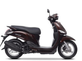 Yamaha D´elight 2013