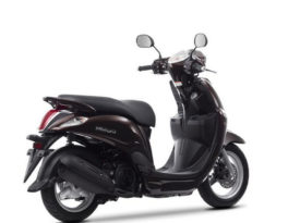 Yamaha D´elight 2013