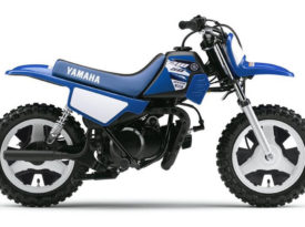 Yamaha PW50 2015