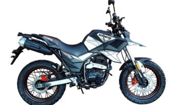 Ficha técnica de la moto Goes 125 TK EFI