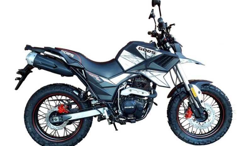 Ficha técnica de la moto Goes 125 TK EFI