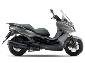 Ficha técnica de la moto Kawasaki J300 ABS