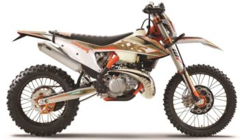 Ficha técnica de la moto KTM 300 EXC TPI Erzbergrodeo 2020