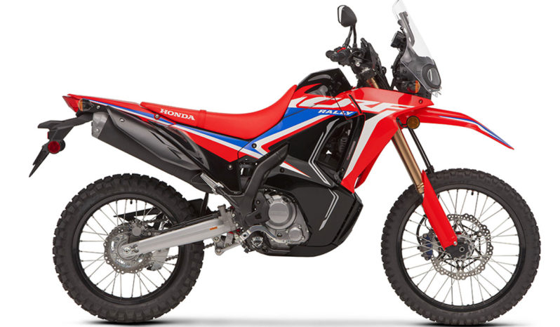 Ficha técnica de la moto Honda CRF 300 Rally 2021