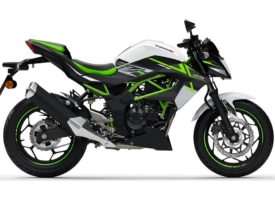 Ficha técnica de la moto Kawasaki Z 125 2022